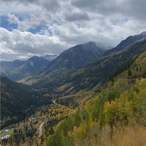 Meet your Posher, Amelia